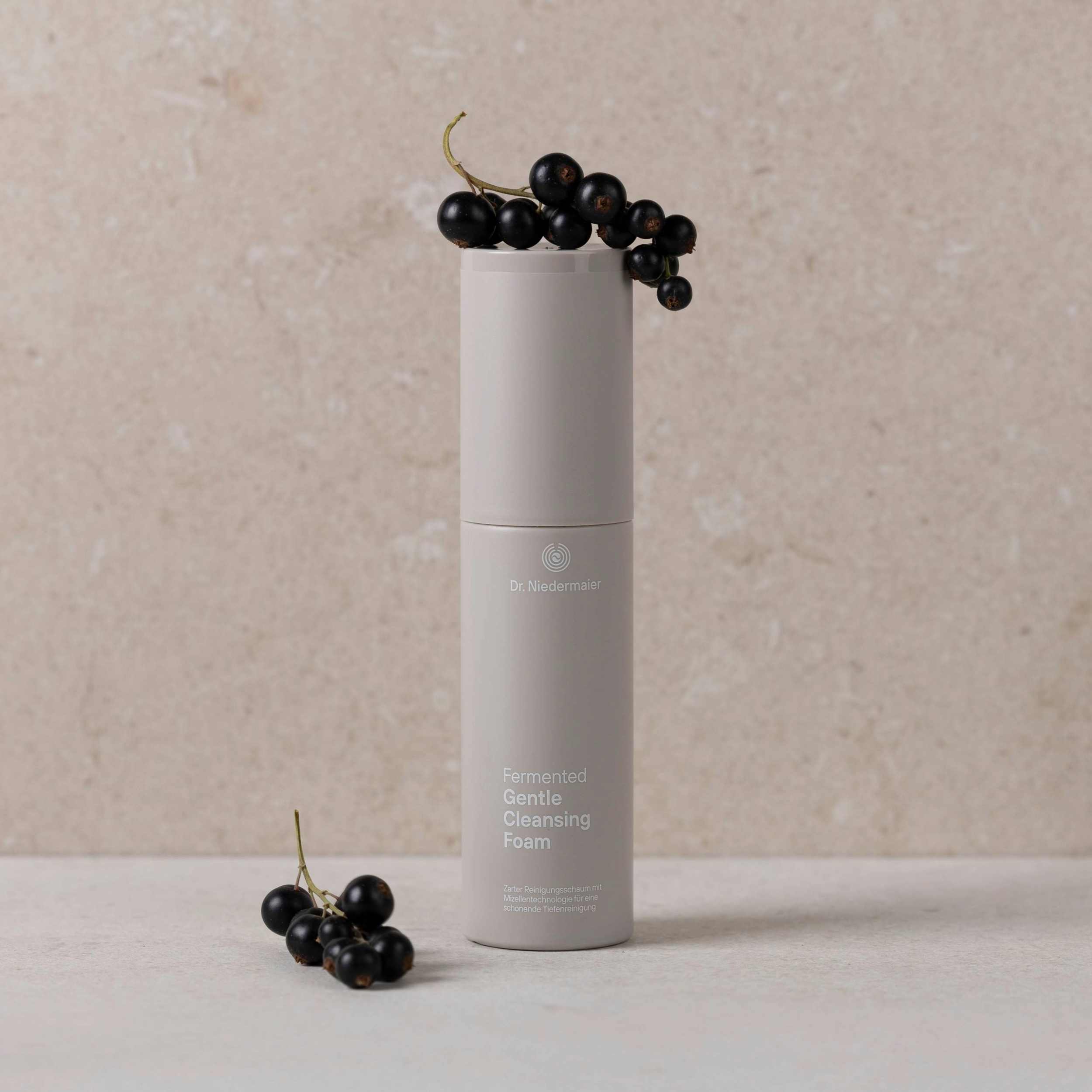 Fermented Gentle Cleansing Foam