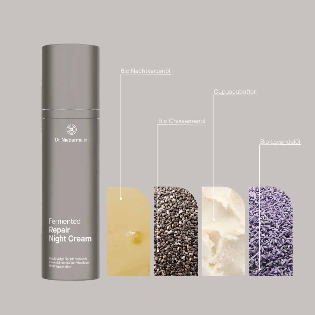 Fermented Repair Night Cream