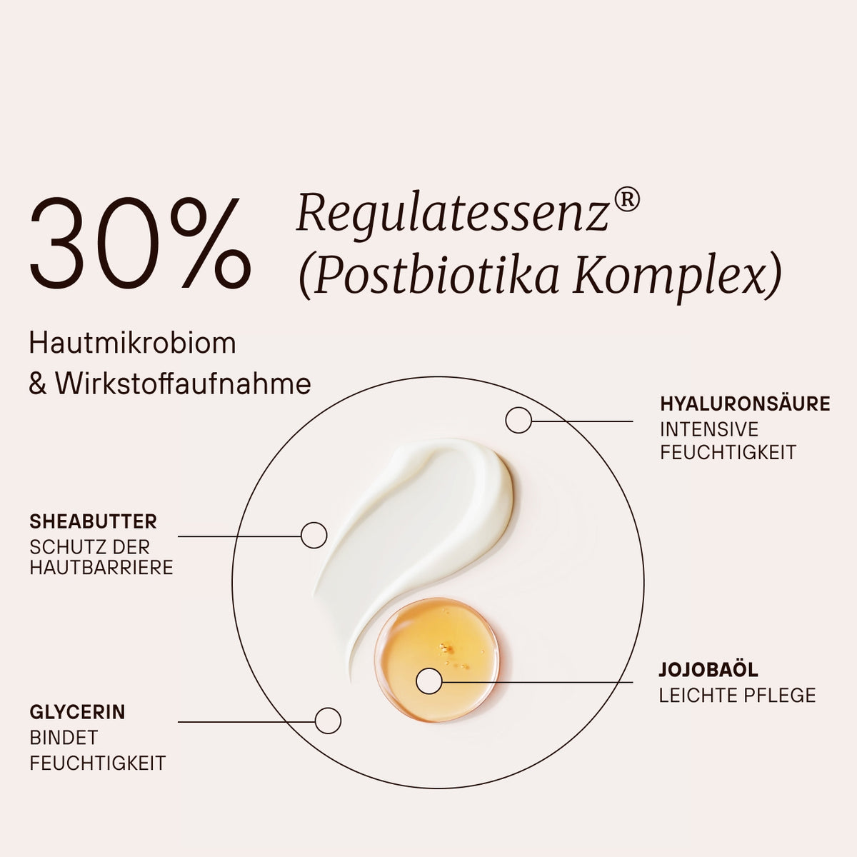 30 % Regulatenessenz® (Postbiotika Komplex) mit Hyaluronsäure, Sheabutter, Glycerin und Jojobaöl.