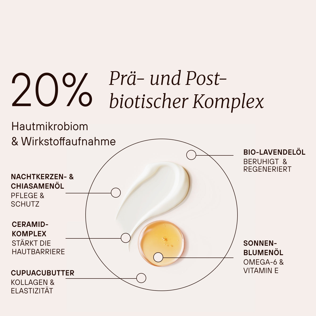 Fermented Repair Night Cream