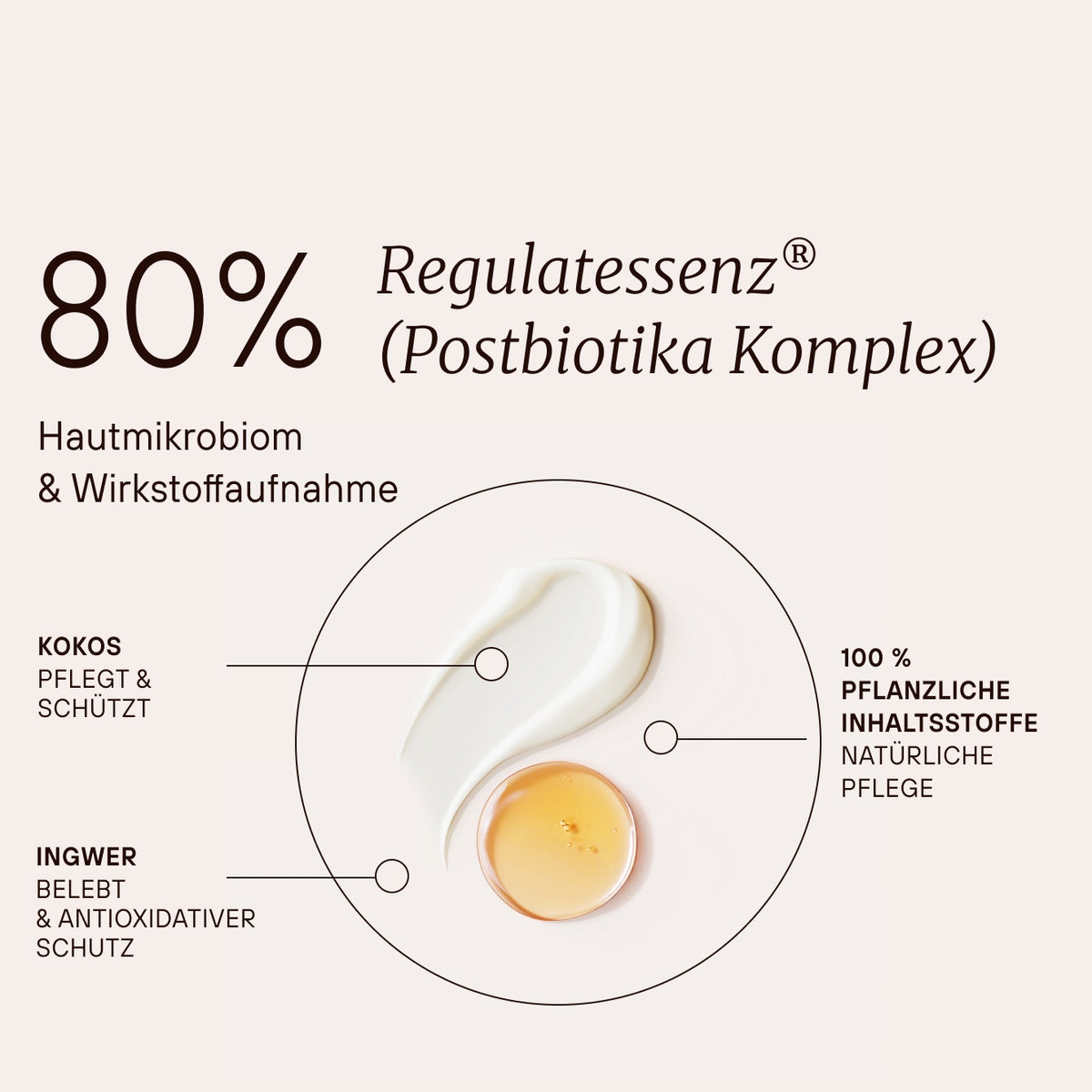 80 % Regulatenessessenz® (Postbiotika Komplex) für Hautmikrobiom und Wirkstoffaufnahme.