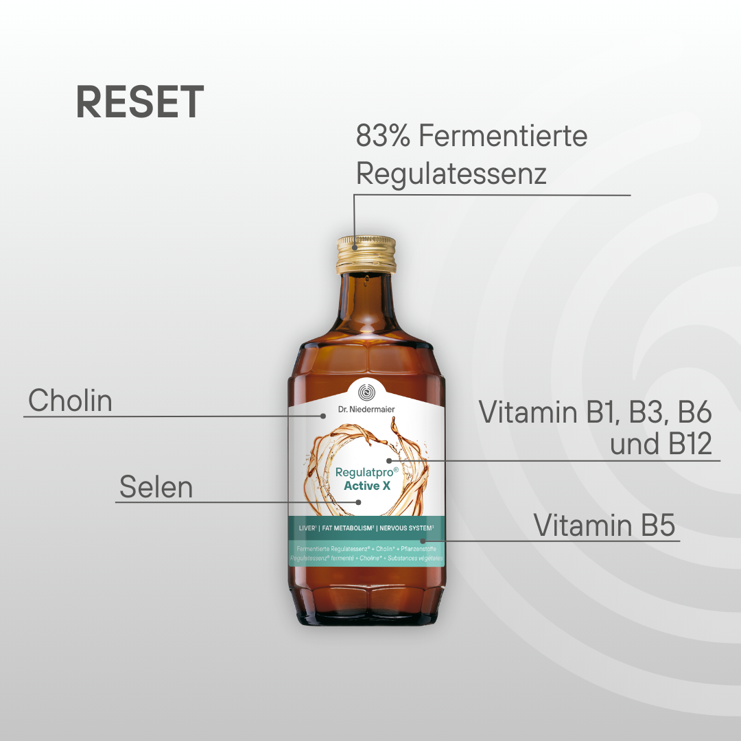 12-Day Reset &amp; Renew Program