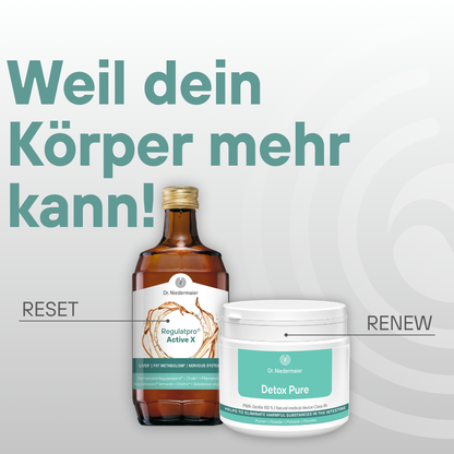 12-Day Reset &amp; Renew Program