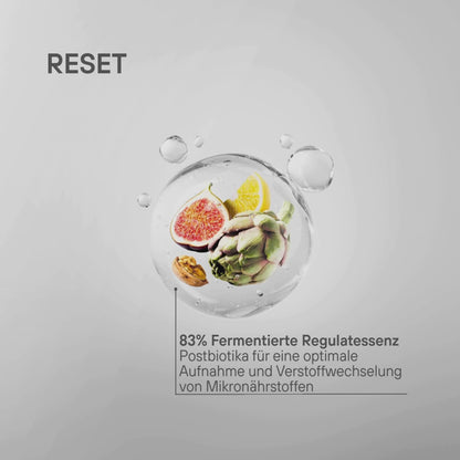12-Day Reset &amp; Renew Program